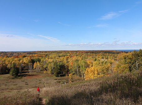 A person walking on a trail in a clearing surrounded by colorful trees.