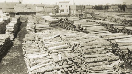 Historic photo of piles of timber.