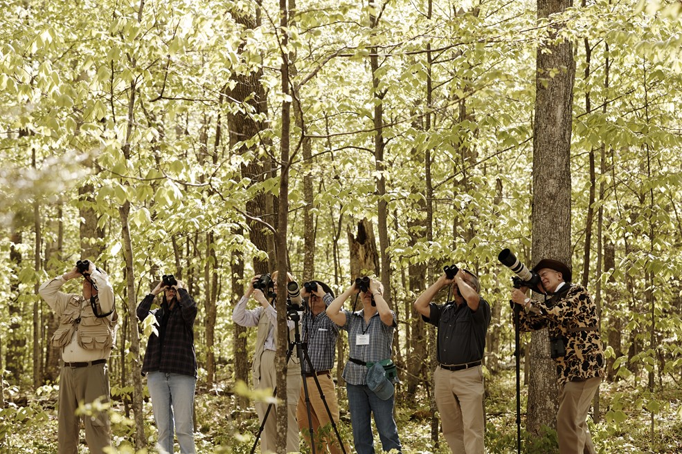A group of bird watchers using binoculars to look up into the trees.