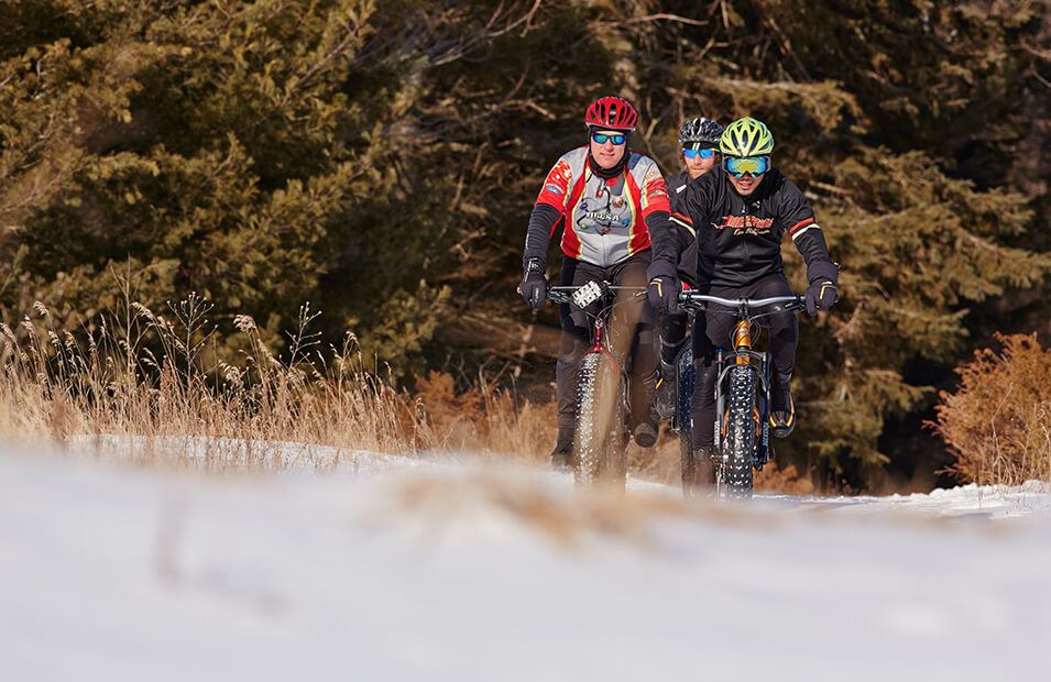 Three people riding bikes with fat tires through the snow.