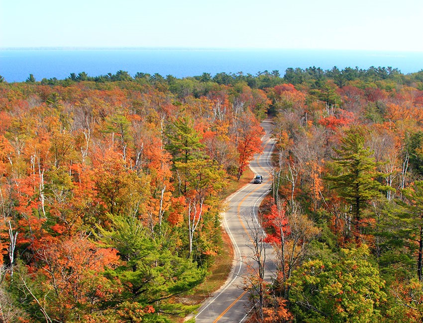 A winding road lined with trees in their fall colors.