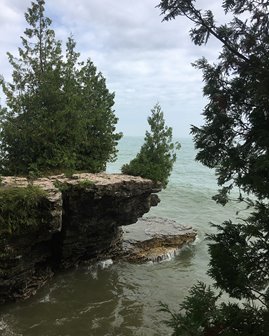 A tree-lined cliff at the lakefront.