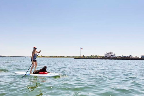 A woman standup paddle boards with her dog aboard.