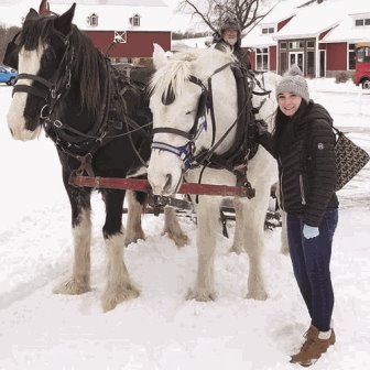 A woman standing next to horses pulling a sleigh.