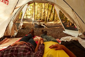Couple lying down in a tent holding hands.