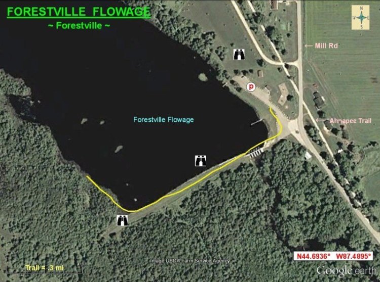 Aerial view map of Forestville Flowage 