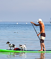 A man with two dogs standing on a paddleboard.