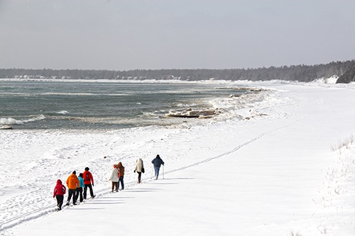 A group of snowshoers on a snowy beach.