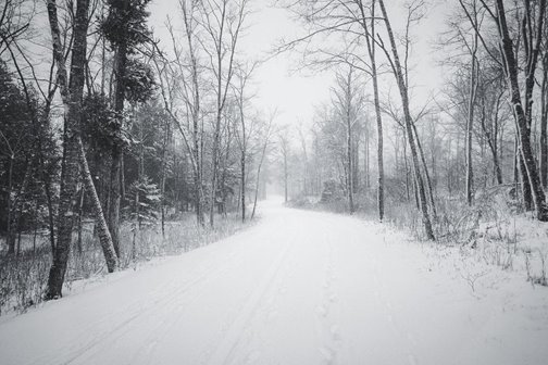 A snow-covered path lined with trees.
