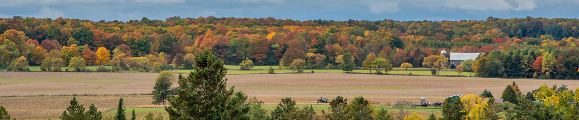 A field with fall color trees in the distance.