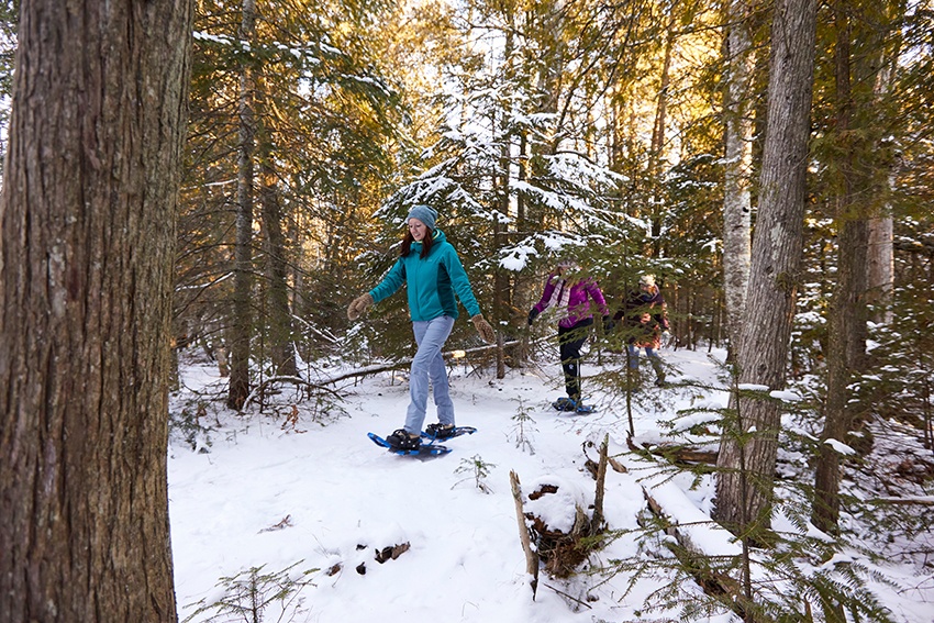 Friends snowshoeing in the woods