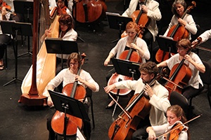 Members of an orchestra playing their instruments.