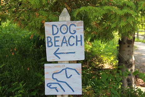 Dog Beach sign with dogs on it
