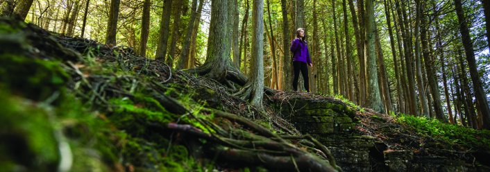 Hit the Trail: Hikes for all Abilities and Interests