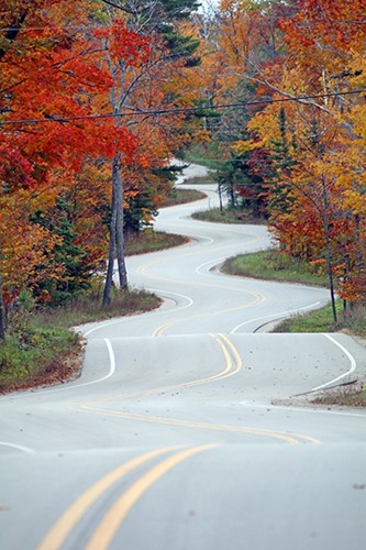 A curvy road lined with trees in their autumn colors.