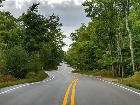 A winding tree-lined road on a cloudy day.