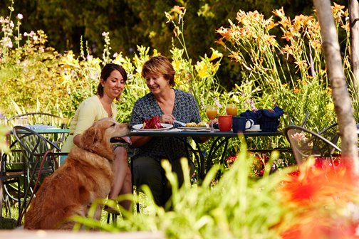Two women dining outdoors with a dog.