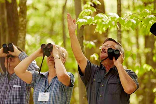 A group of birders searches the woods for unique birds and wildlife.