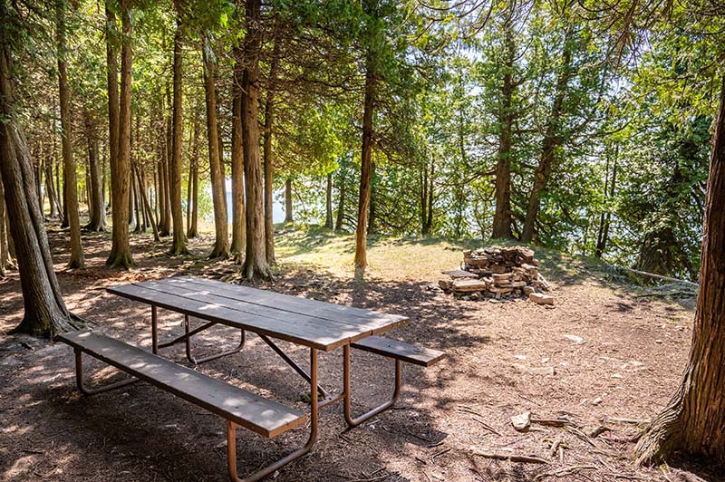 A campsite with a picnic table and fire pit