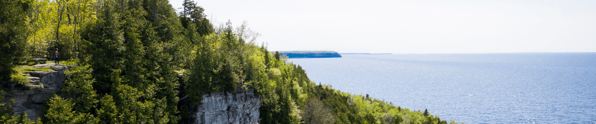 A person standing at the top of a tree-lined cliff looking out at the lake.
