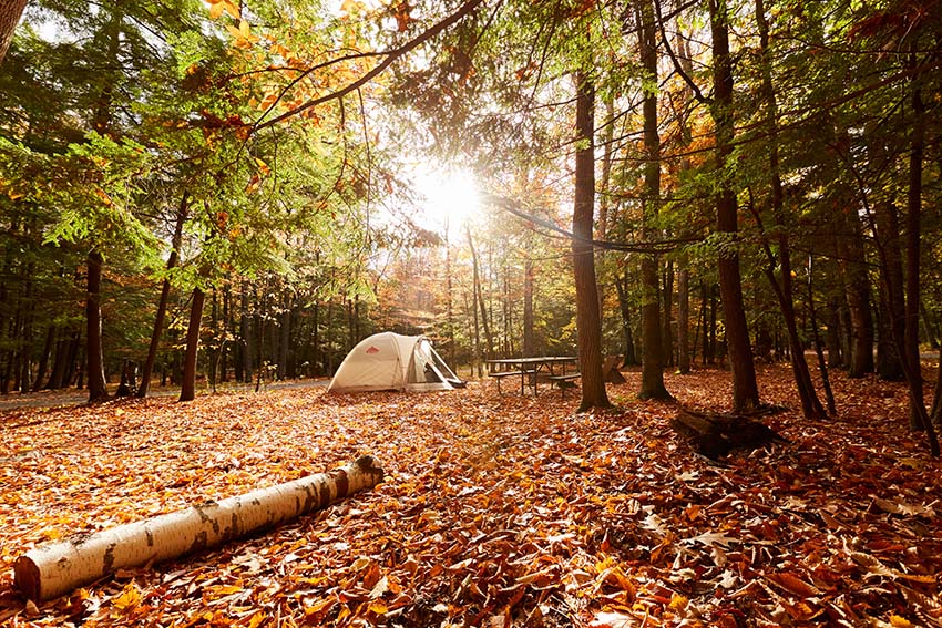 A camping tent sits in a fall-color forest during sunset.