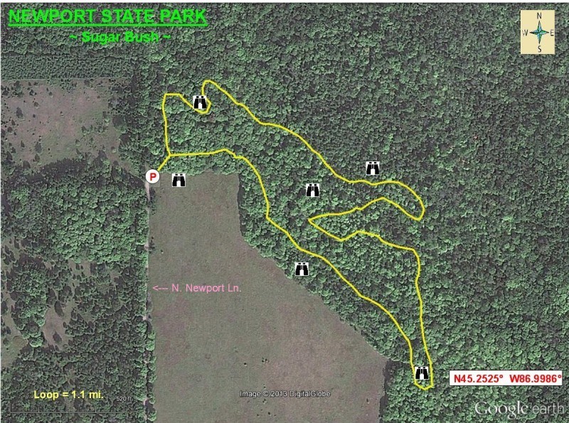 Aerial view map of Sugar Bush in Newport State Park