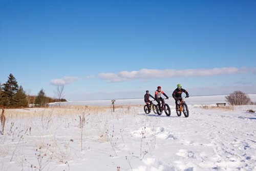 Friends ride fat tire bikes across a snowy field.