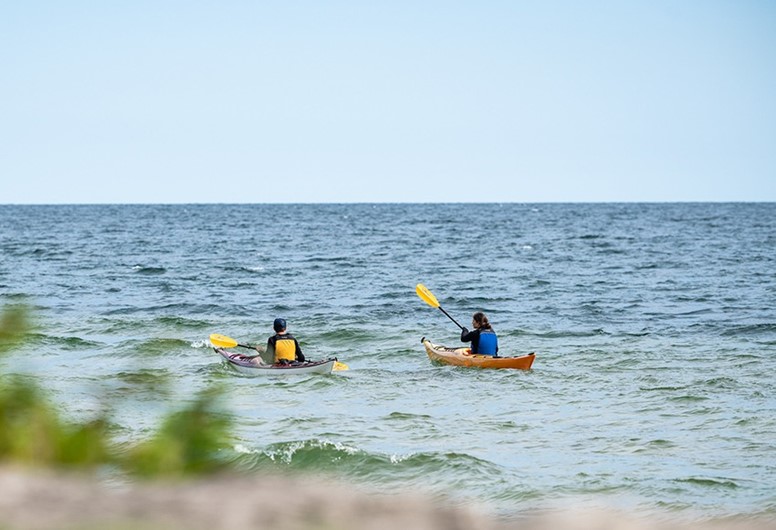 Two kayakers off the shoreline.