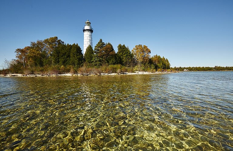A white lighthouse surrounded by trees at the lakefront.