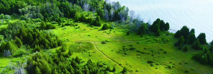 Ask a Local: Emily Wood