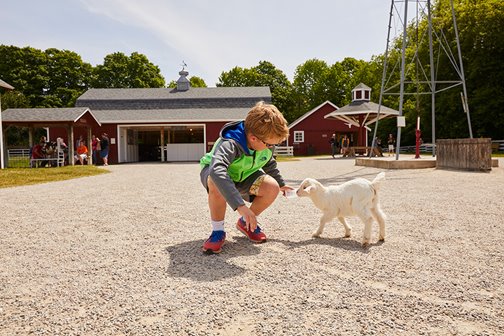 Little boy bent down playing with a baby goat at a petting zoo.