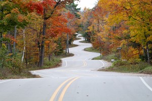 A open and super curvy road flanked by trees in fall color