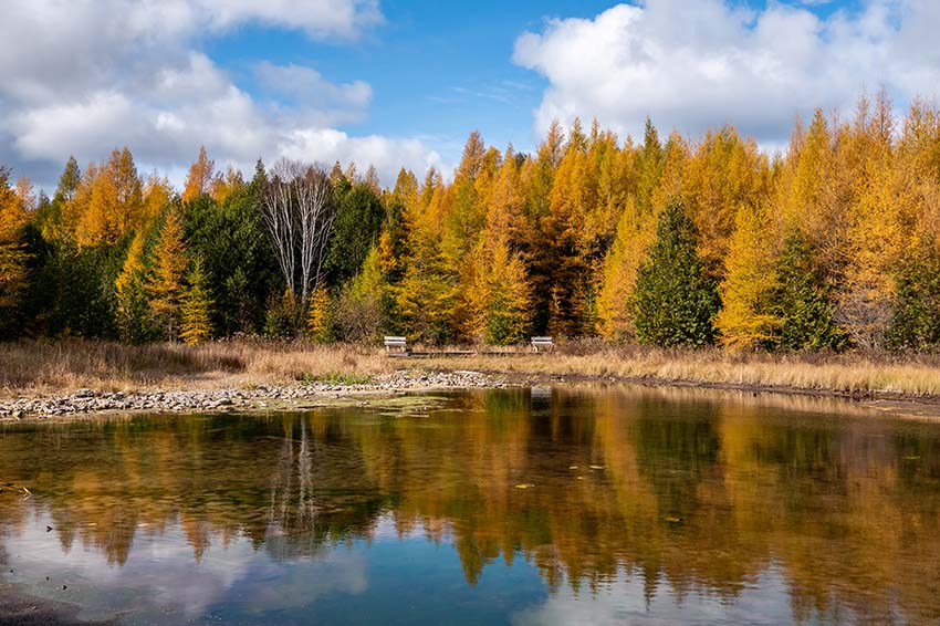 Fall-colored trees lining the lake