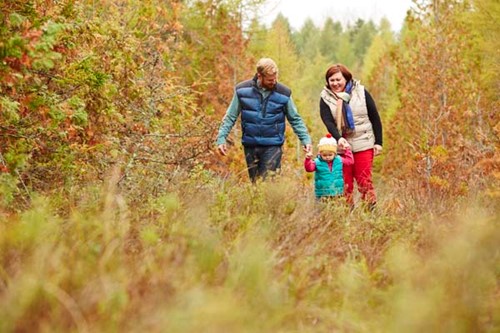 A family hikes in the fall-colored woods at The Ridges.