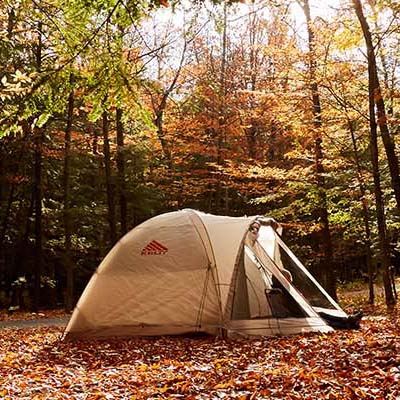 A small tent is set up in a forest clearing during the peak of fall color.