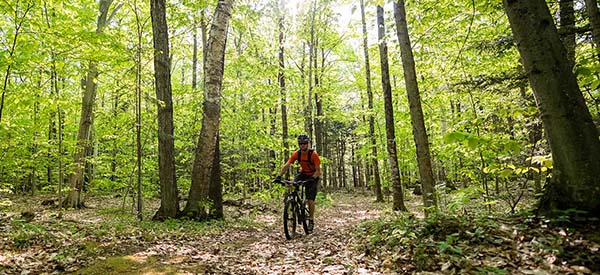 A person biking on a wooded trail