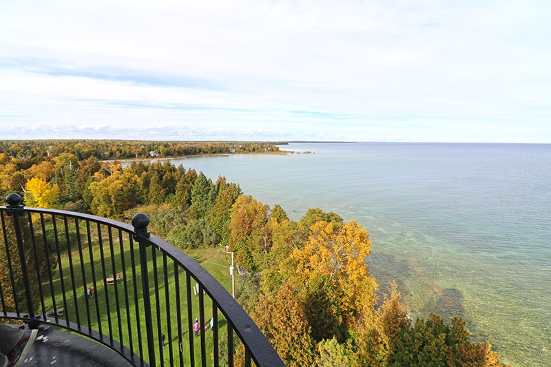 View from an observation tower looking over trees and the lake