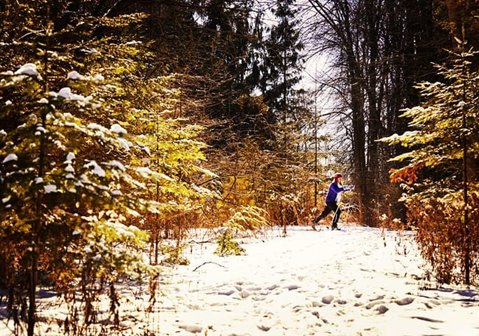 Person cross country skiing through the trees.