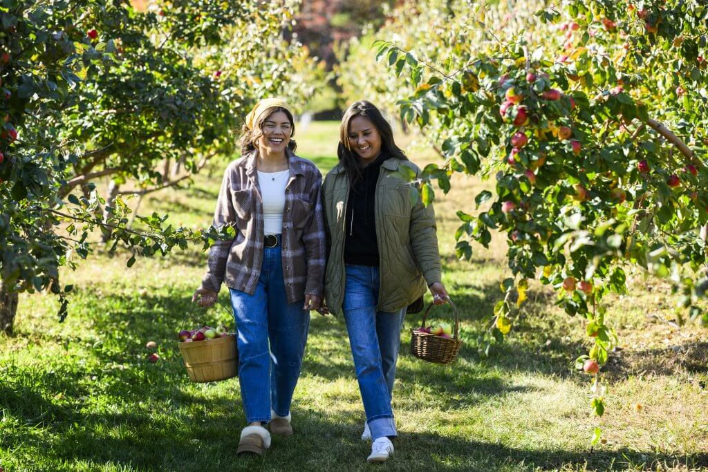 Apples: Door County's Other Favorite Fruit