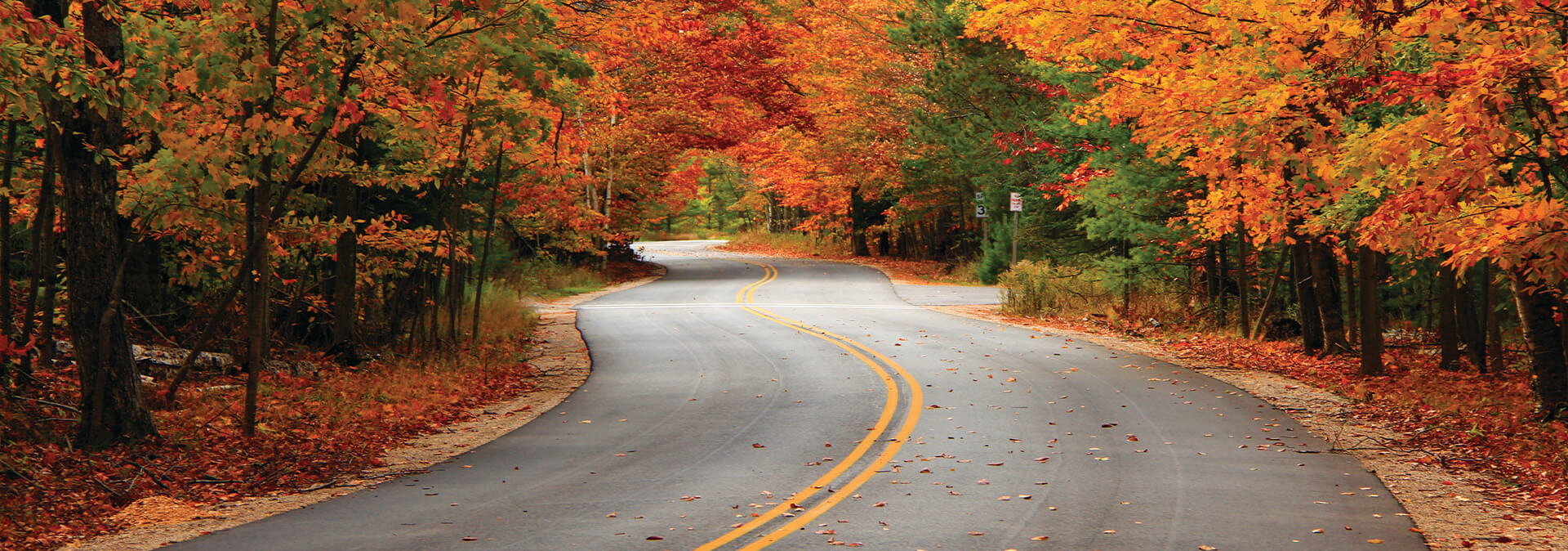Best Fall Color Drives, Hikes, & Rides Best Fall Color Drives, Hikes, & Rides