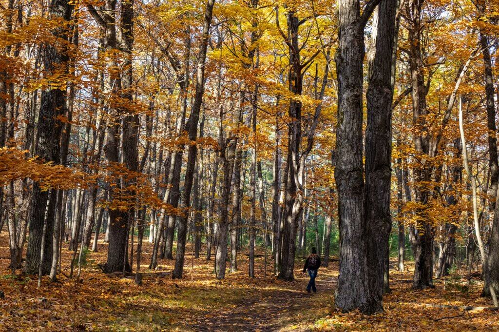 Best Fall Color Drives, Hikes, & Rides Best Fall Color Drives, Hikes, & Rides