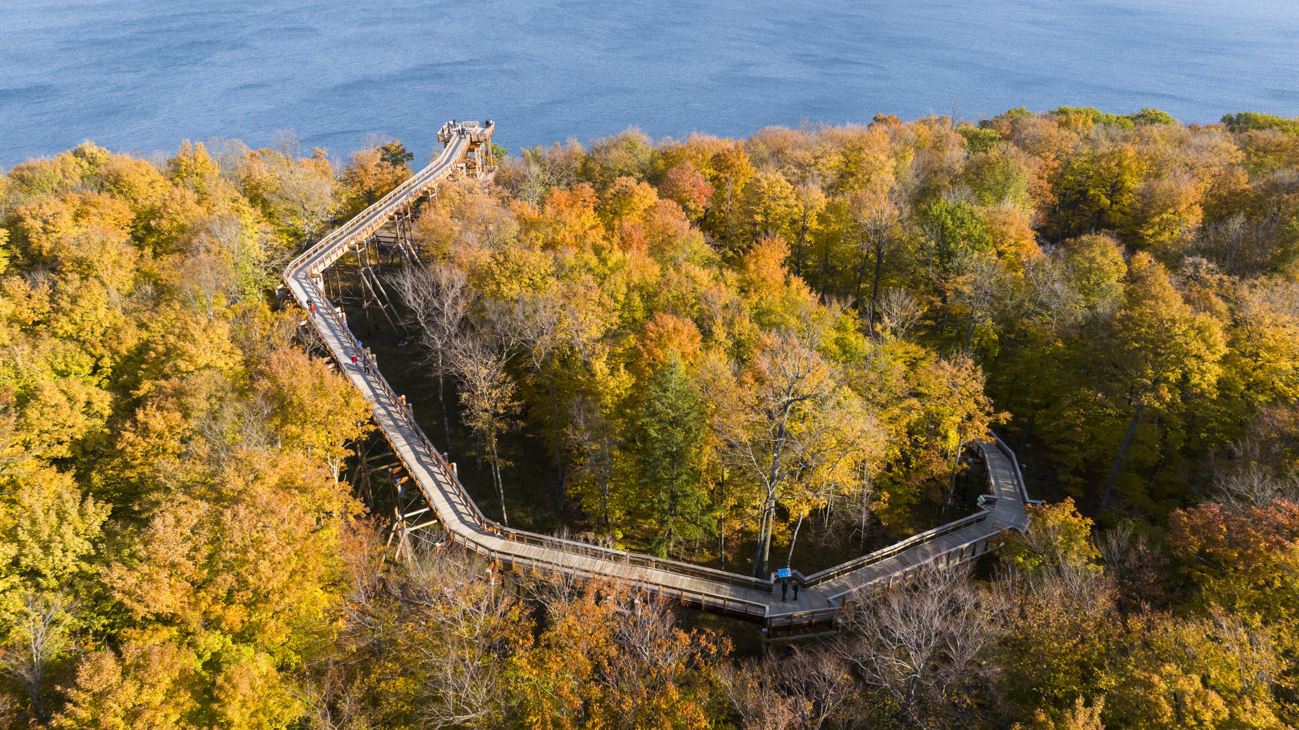 Discover Door County Fall Colors An aerial view of Eagle Tower located inside Peninsula State Park.