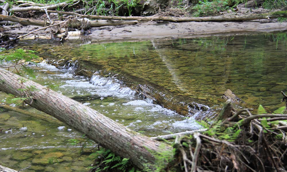 15 Nature Preserves You Haven't Hiked A peaceful creek and small rapid at Heins Creek preserve.