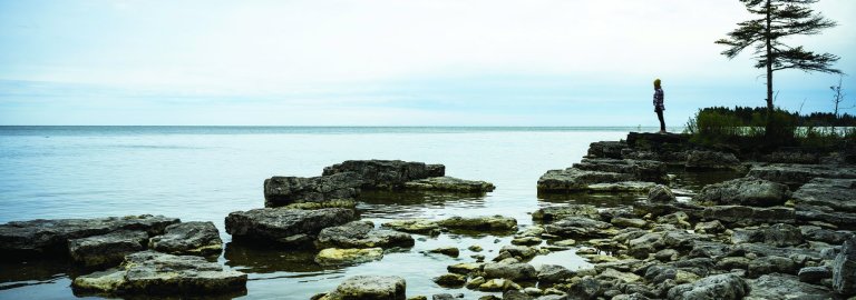 Newsletter Archive