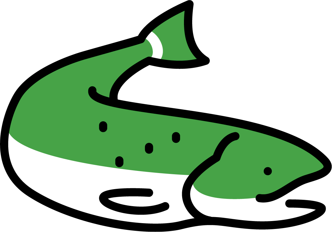 Common Fish of Door County and When to Catch 'em Common Fish of Door County and When to Catch 'em