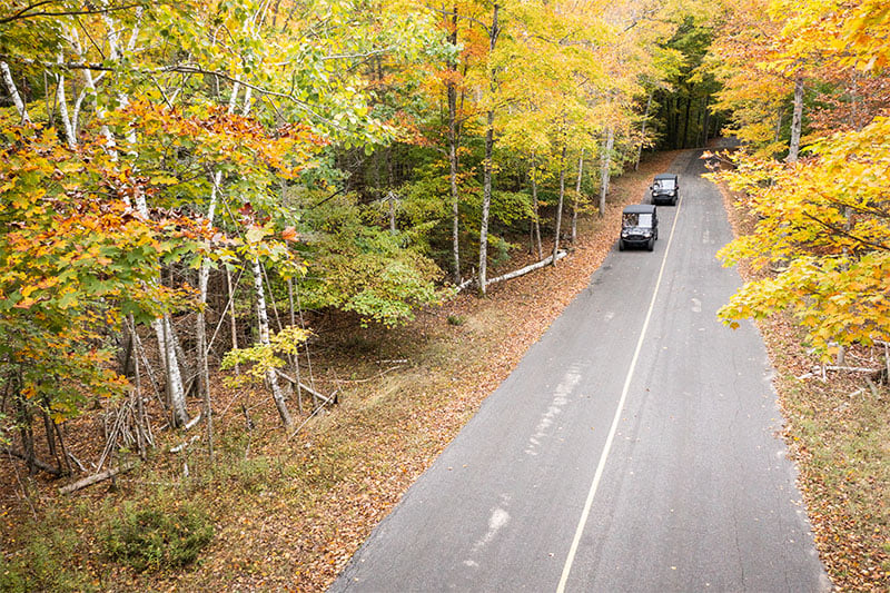The Full-County Driving Tour Two vehicles driving down a treelined road with the trees turning colors for fall.