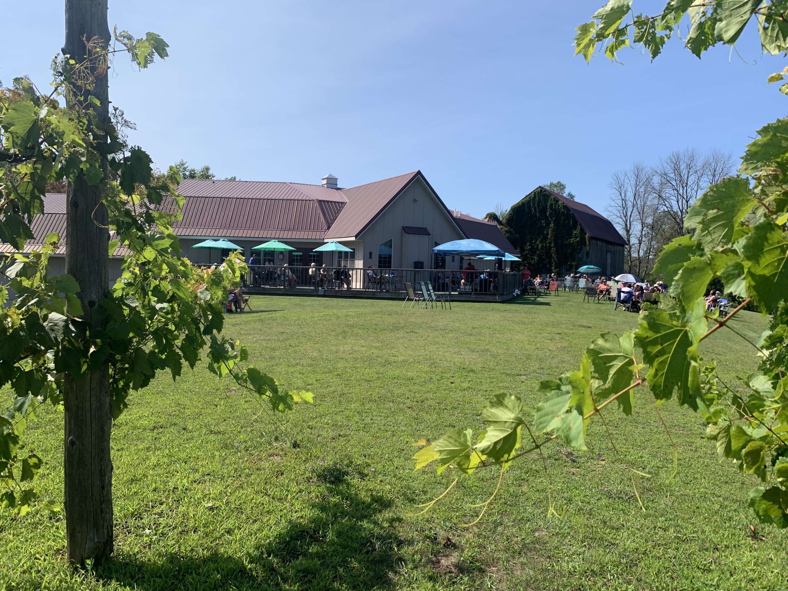 9 Door County Wineries & How to Visit Them All Simon Creek Vineyard and Winery, one of the best wineries in Wisconsin.