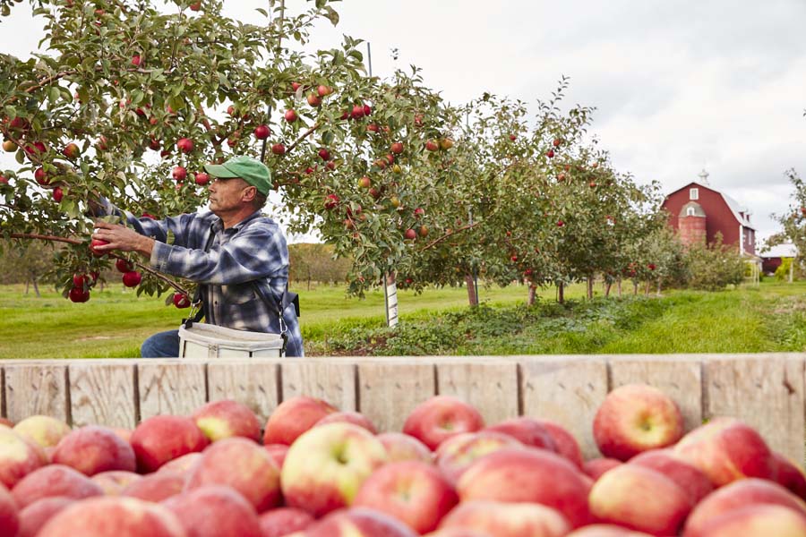 Farmers Markets & Farm Markets of Door County
