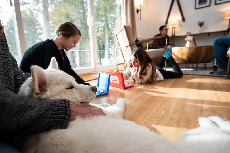 Winter Activities by Snow Type in Door County Cabin fun during a blizzard