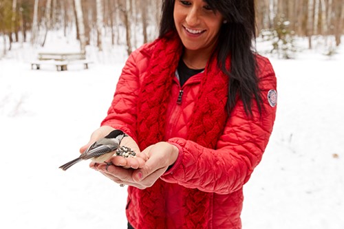 A chickadee eats birdseed from a woman